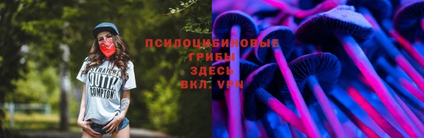 синтетический гашиш Верхний Тагил