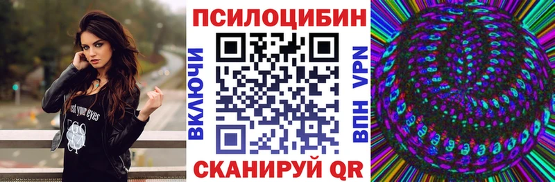 где купить   Ярцево  Псилоцибиновые грибы MAGIC MUSHROOMS 